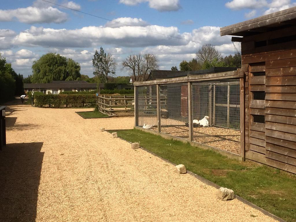 Willow Court Farm Studio West & Petting Farm, 8 Mins To Legoland & Windsor, 15 Mins To Lapland Uk Villa Eksteriør billede